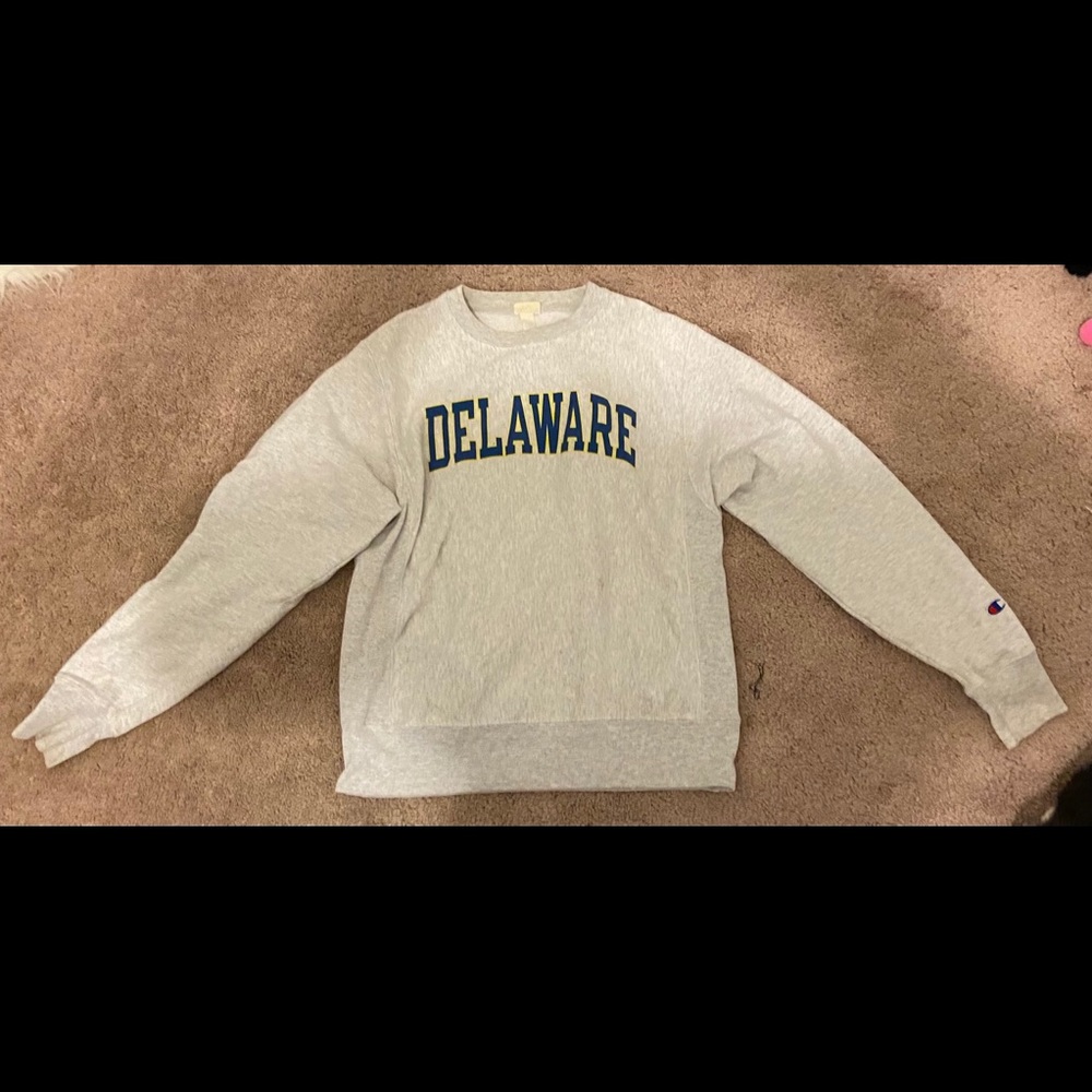 Champion sweatshirt